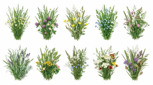 Wildflower bouquet collection, set of 10 meadow flower arrangements with green grass, botanical field plant vector illustrations for wedding invitations