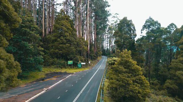 4K drone footage showing an advance along Black Spur Drive in the Yaara Ranges.