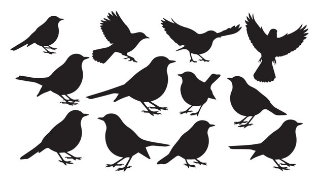 black and white silhouette set of Eurasian bullfinch very high quality vector illustration.