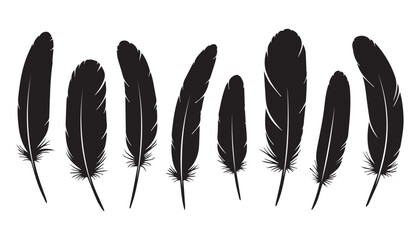 black and white silhouette set of feather very high quality vector illustration. © dinesh