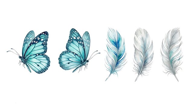 Two teal butterflies and three white blue feathers on white background butterfly