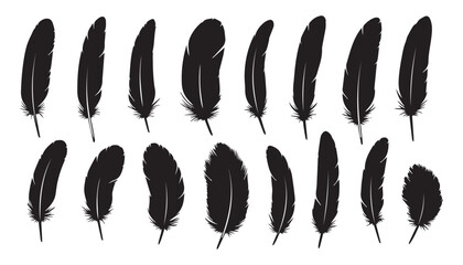 black and white silhouette set of feather very high quality vector illustration. © dinesh