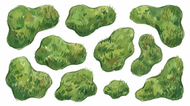 Green moss patches vector set, organic forest floor vegetation elements, textured garden moss tufts for landscape design and environment maps