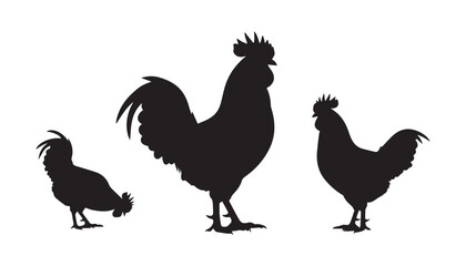 black and white silhouette set of Chicken very high quality vector illustration. © dinesh