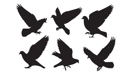 Fototapeta premium black and white silhouette set of Columbidae very high quality vector illustration.