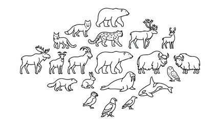 Arctic animals line art collection, 20 polar wildlife vector icons, minimalist northern fauna illustrations for educational books and nature branding © Saad