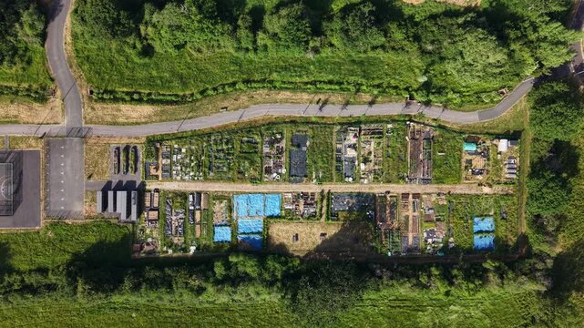 Aerial drone footage of allotment plots in Three Mile Cross, Berkshire, showcasing community gardening spaces, cultivated land, and organised vegetable plots