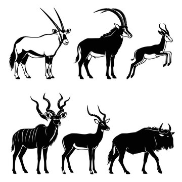 back and white vector silhouette set of Antelope