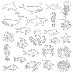 Obraz premium Various sea creatures illustrations.