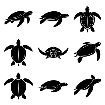 Black and white vector silhouette set of Archelon Turtle.