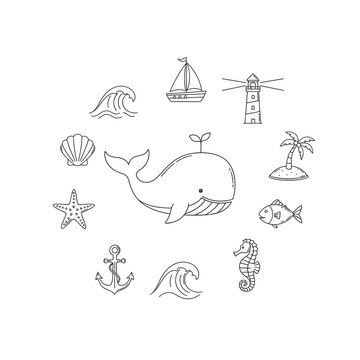 Whale sea animal ocean creature.