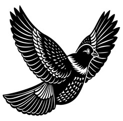 Naklejka premium eagle in flight