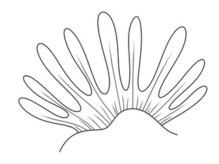digital hand draw for coloring page seaweed © Pink lotus 