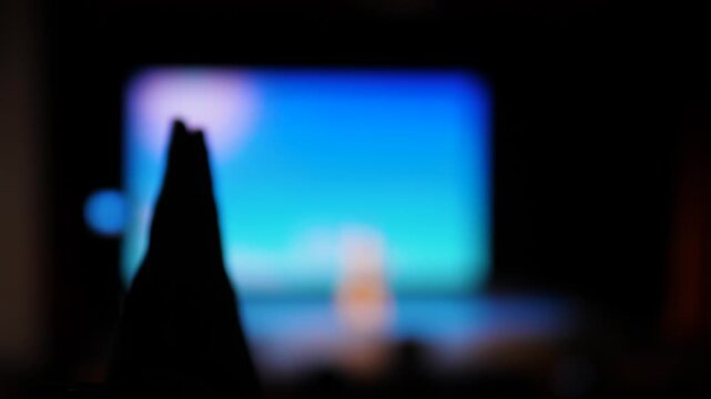 Silhouette of a spectator's hands applauding during a performance on stage. Blurred view of a concert hall with a lit screen in the background