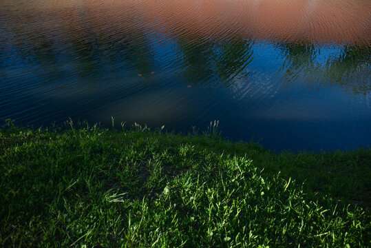 Water reflects trees and grass along the shore, creating a mix of colors under the sun. Gentle ripples distort the reflection, adding a dynamic element to the scene