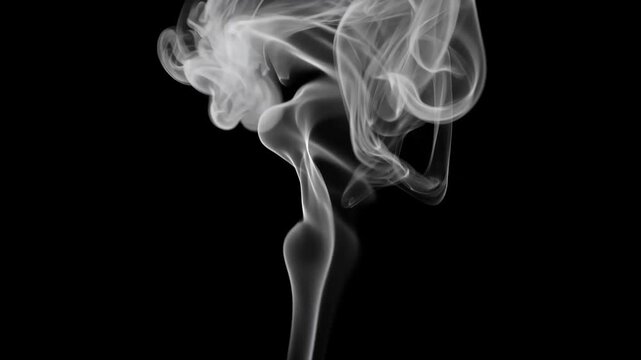 Wisps of Smoke: Ethereal tendrils of white smoke curl and ascend against a stark black background, creating an abstract and mysterious visual.