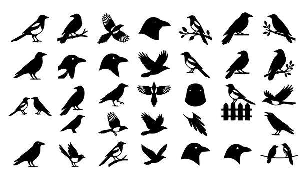 Magpie crow bird icons set. Flat illustration of 16 magpie crow bird vector icons for web
