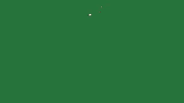 A thick cloud explosion effect animated on a green screen. This footage can be used in various visual projects, adding depth and action, perfect for green screen editing or compositing. - Profess