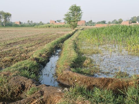 Irrigation ditch flowing through green agricultural farm fields under clear blue sky in rural area