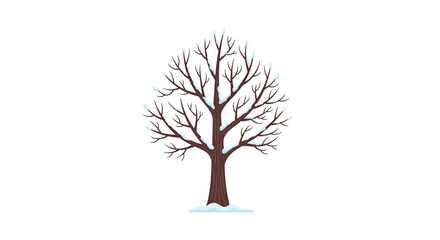 Bare Winter Tree with Snow on Branches and Ground, Isolated © asepta
