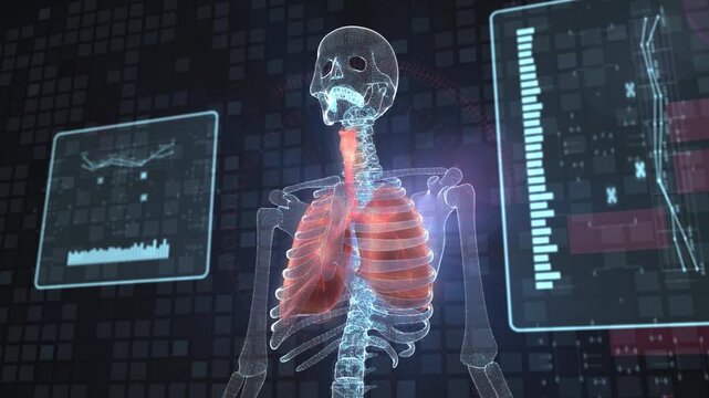 X-ray image of human chest showing human body scan with technology, science and digital data concept