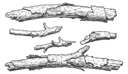 Horizontal Hand Drawn Wood Branches Vector Set, Vintage Engraved Rustic Logs and Twigs for Text Dividers and Nature Frames © Aglonema