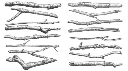 Horizontal Hand Drawn Wood Branches Vector Set, Vintage Engraved Rustic Twigs for Text Dividers and Nature Frames © Aglonema