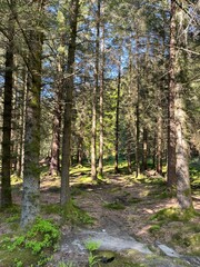 Fototapeta premium Mount Fløyen in Bergen, Norway, Nordic Countries