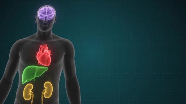 medical education