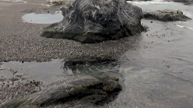 Observe the quiet dance of the sea as the Arctic tide recedes across a rugged beach in Svalbard, Norway. Water trails create glistening paths between worn stones and reflective pools.