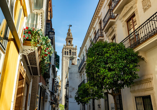 Traditional street with Giralda tower in Seville, Spain