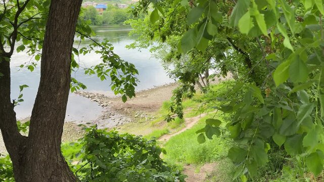 Scenic Dniester River view near Mohyliv Podilskyi border crossing with green trees and peaceful summer landscape