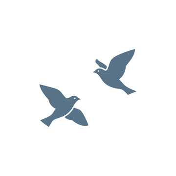 Two stylized blue birds are depicted in flight, with wings outstretched and bodies angled.