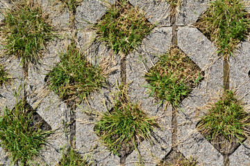 Top view of permeable concrete grid pavers with vibrant green grass tufts growing through the open spaces of the eco friendly driveway structure © nahhan