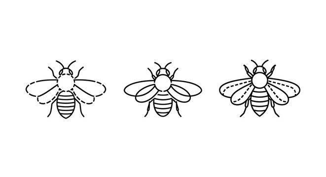 Detailed black and white illustration of three bees.