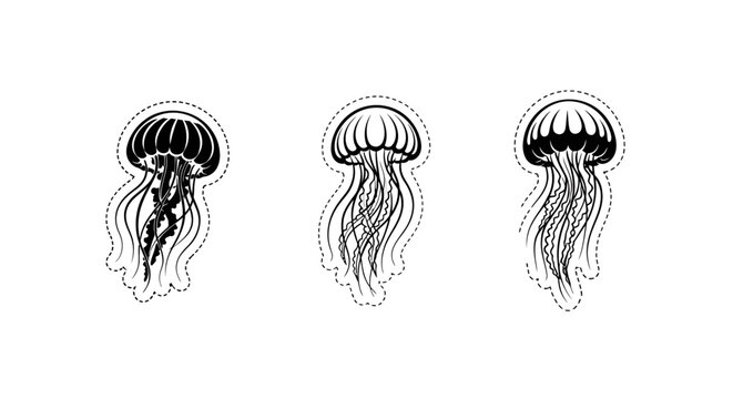 Illustrated jellyfish trio with intricate tentacle designs black and white.