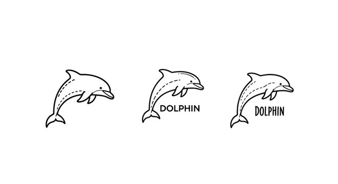 Playful dolphin logo and icon set in monochrome line art.