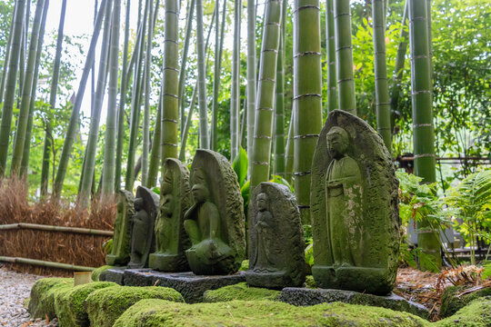 Jizo Bosatsu statues in the bamboo forest of Hokoku-ji, Kamakura
