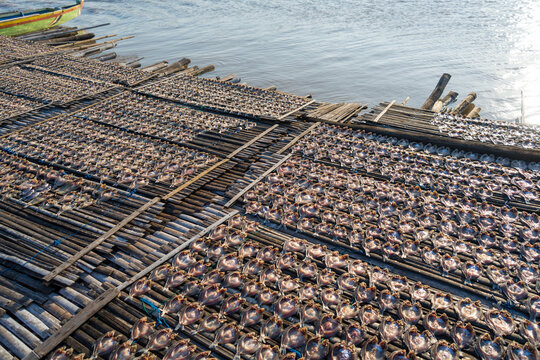 Drying fish on traditional floating house, Lake Tempe, Indonesia