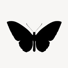 Fototapeta premium Black butterfly silhouette, black flat graphic on white background