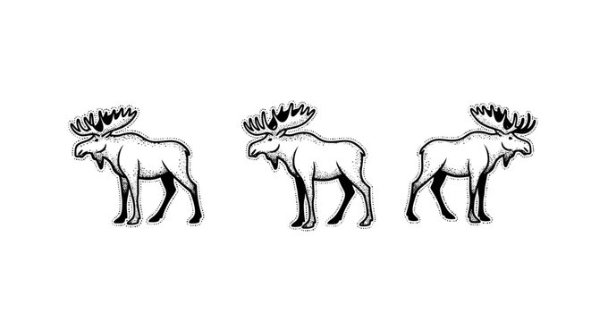Three majestic moose standing in elegant illustration style.