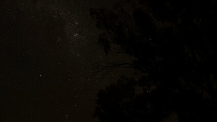 Obraz premium Starry Night Sky with Dark Silhouettes of Trees and Milky Way