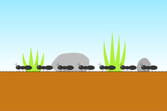 地面を歩くアリの行列のイラスト