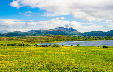 Obraz premium Lofoten Island, Norwegian Sea, Alesund, Hjorundfjord, Finnmark, Norway, Arctic, Norwegian fjords