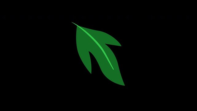 Green leaf on black background