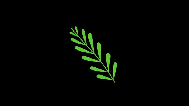 Green leaf on black background