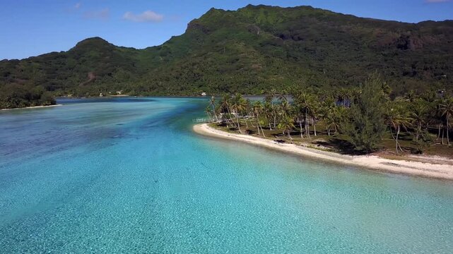 Aerial drone view of French Polynesia capturing turquoise lagoon waters, white sandy beaches and lush palm tree forests against green volcanic mountains. Islands Bora Bora, Huahine, Tahiti, Rangiroa