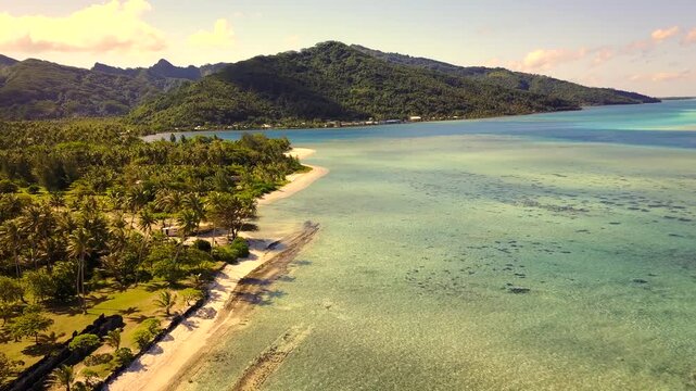 Aerial drone view of French Polynesia capturing turquoise lagoon waters, white sandy beaches and lush palm tree forests against green volcanic mountains. Islands Bora Bora, Huahine, Tahiti, Rangiroa
