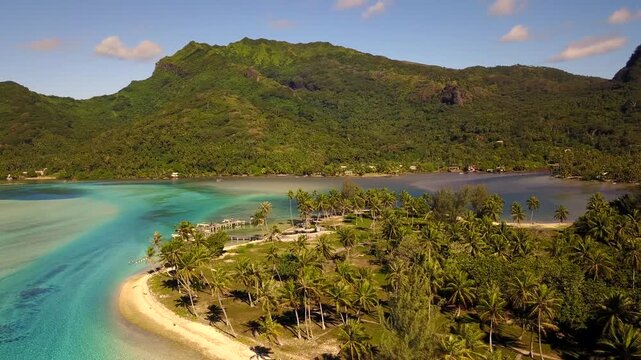 Aerial drone view of French Polynesia capturing turquoise lagoon waters, white sandy beaches and lush palm tree forests against green volcanic mountains. Islands Bora Bora, Huahine, Tahiti, Rangiroa