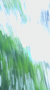 Handheld POV walking shot on a forest trail as a collie dog runs toward the camera and bumps the lens upward with its nose.
